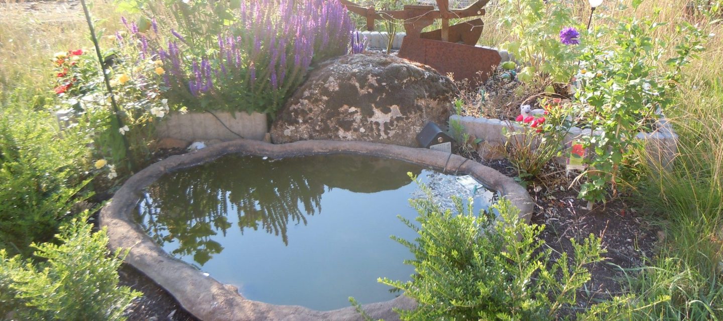 Landesgartenschau Landesgartenschau